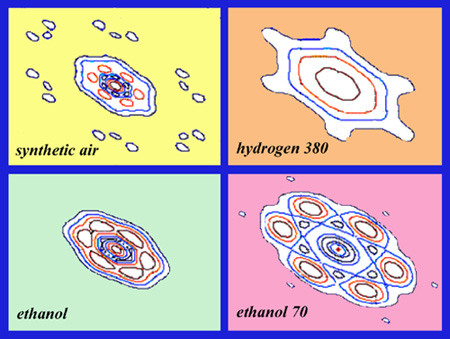 ABC Television News feature (Quicktime
                      movie)